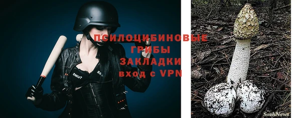дурь Абдулино