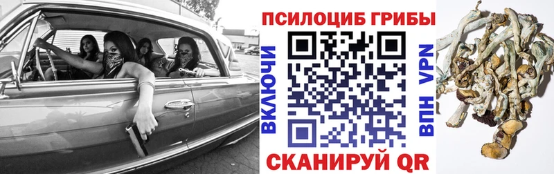 KRAKEN как зайти Сызрань Псилоцибиновые грибы GOLDEN TEACHER